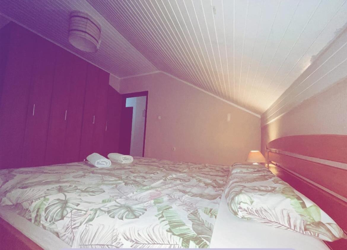 Apartmani Gacic- Sabac Šabac Exterior foto